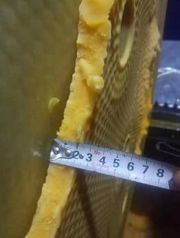 compressed stearin from fish oil esters
